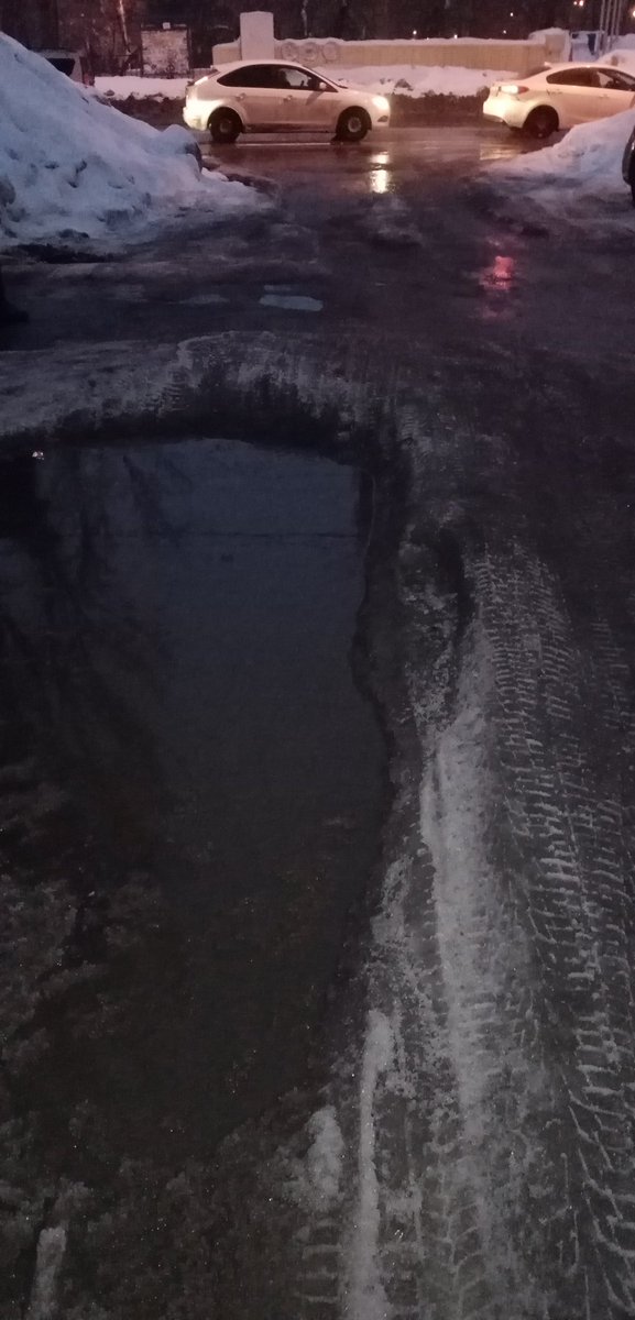 Светлана tweet media