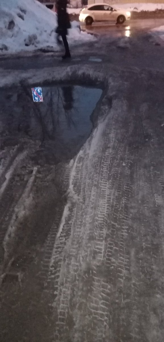 Светлана tweet media