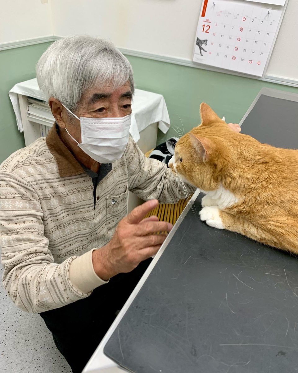 アメブロを投稿しました。
『スーパー猫の日』
#アメブロ #ナーちゃん　#スーパー猫の日　#猫のいる暮らし　#猫のいる生活　#猫　#猫好きさんと繋がりたい
 ameblo.jp/tetsu-koma/ent…