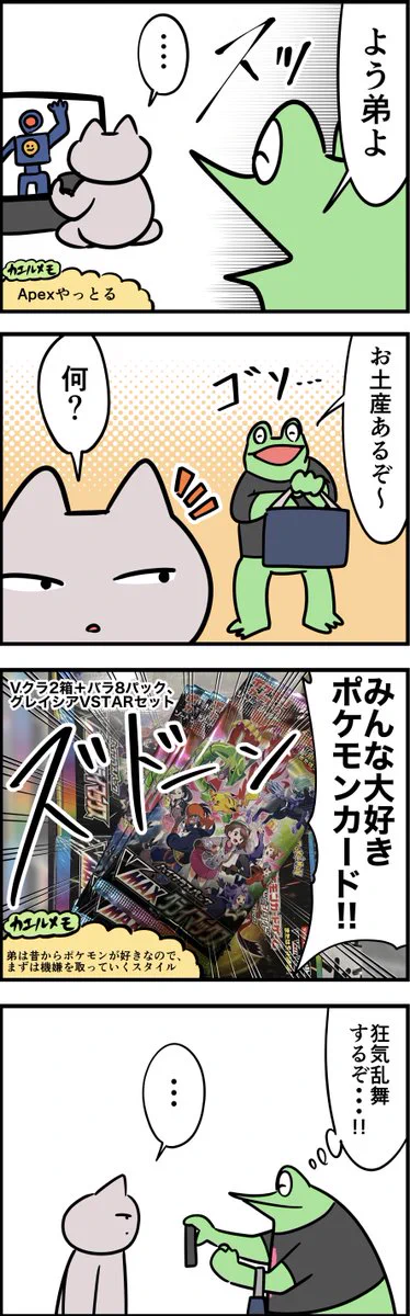 オタク兄が中学生で反抗期の弟の心を開こうと試みてみた。