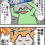 オタク兄が中学生で反抗期の弟の心を開こうと試みてみた。