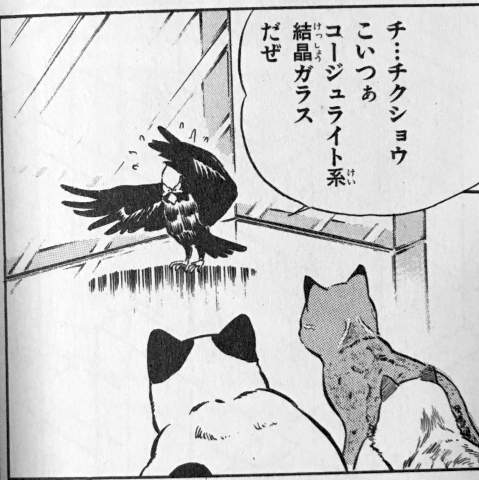 コクマルガラスのアドが博学過ぎて笑う
自分は人間だけどパイロセラム9606なんて知らねえよ 