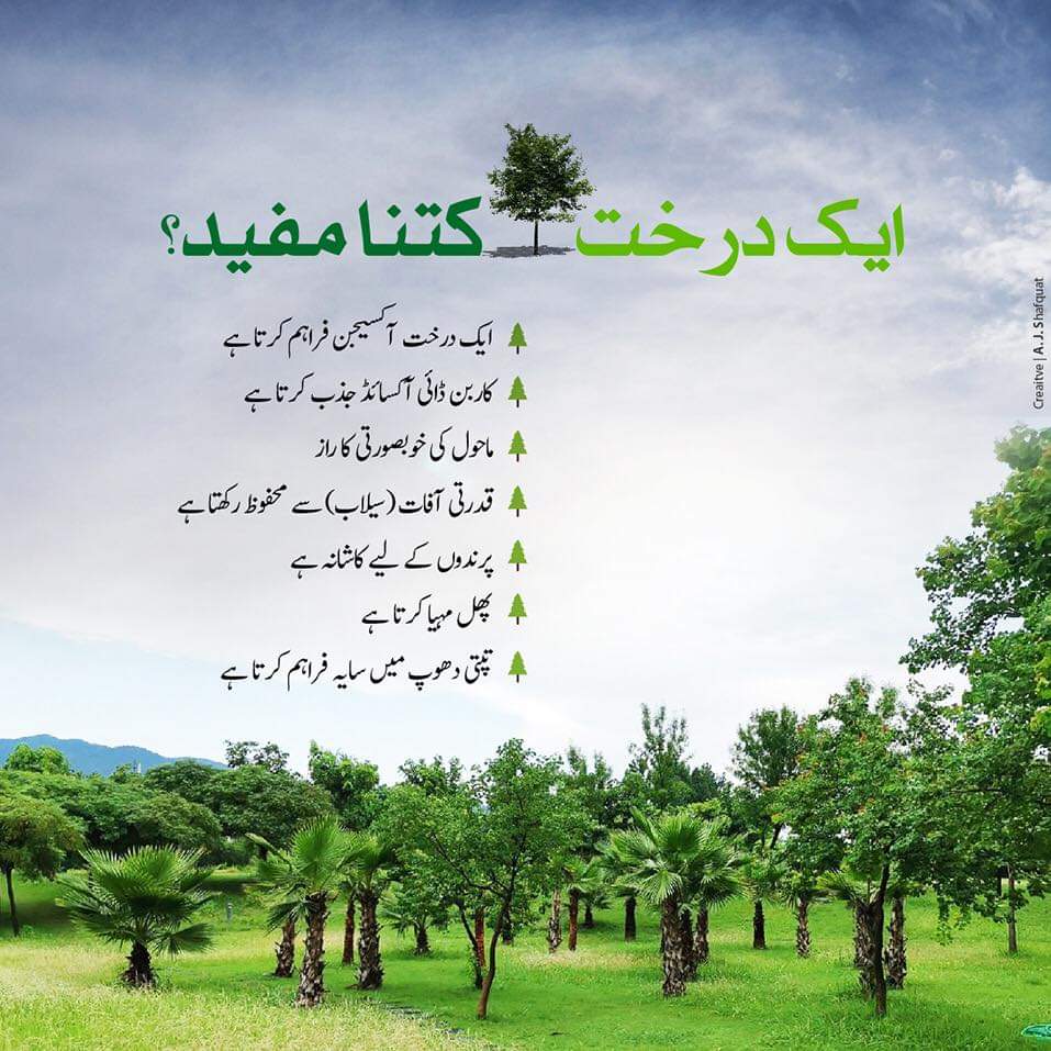 Pakistan is embarking on an ambitious plan: to plant 10 billion trees across the country by 2023, in order to restore landscapes while providing much-needed employment...
#Plant4Pakistan
#SpringPlantation
#10billiontreetsunami