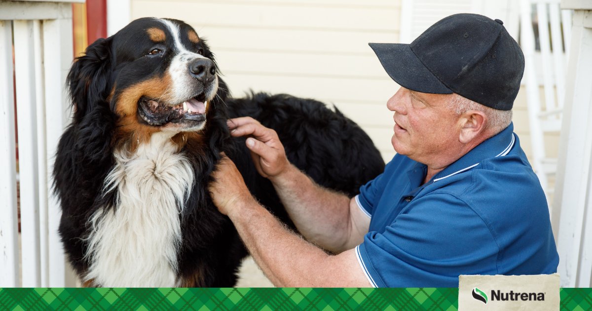 February is National Pet Dental Health Month. Read on to learn why dental health is important to your pet’s overall health.  bit.ly/3t21Fsf