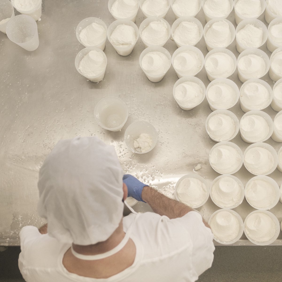 El queso Afuega´l Pitu se elabora con leche procedente de ganaderías ubicadas en la zona geográfica protegida.

Nuestro queso puede elaborarse con leche pasterizada o con leche cruda, en cuyo caso tiene una maduración mínima de 60 días.

#Tradición #Paciencia #Sabor #Amor