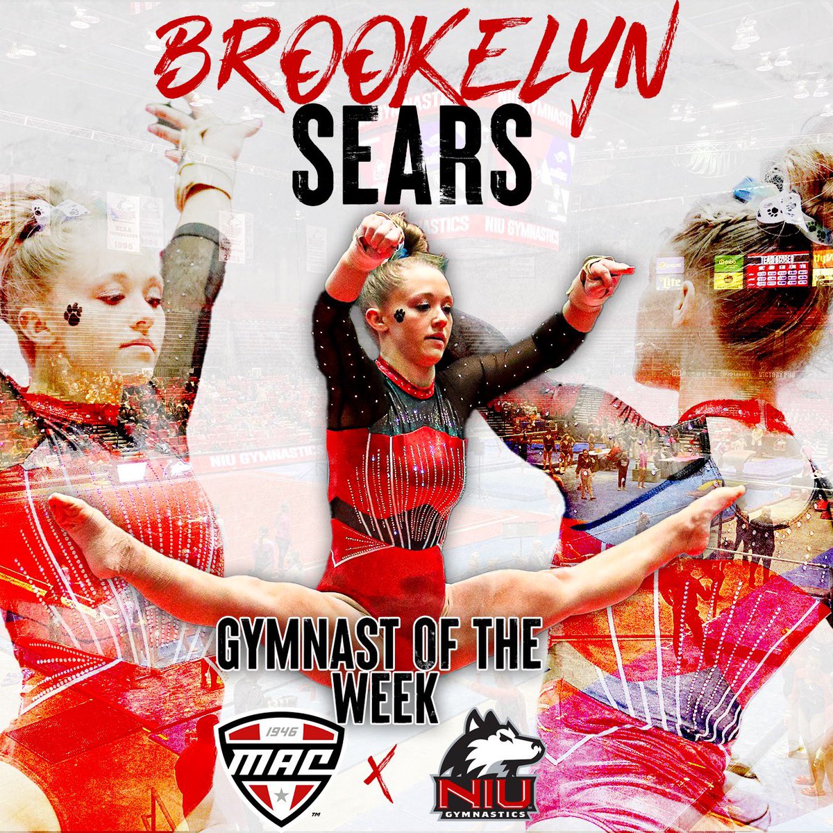 Niugymnastics's tweet photo. What happens when you get the highest all-around score since 2004? You win MAC Gymnast of the Week😍🐾 #PackAttack https://t.co/OsW1H7dA2M