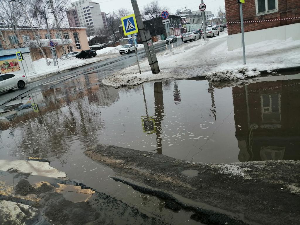 Щепкова Мария tweet media