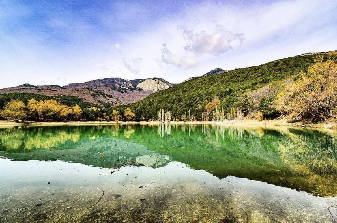 alexxf3's tweet image. 