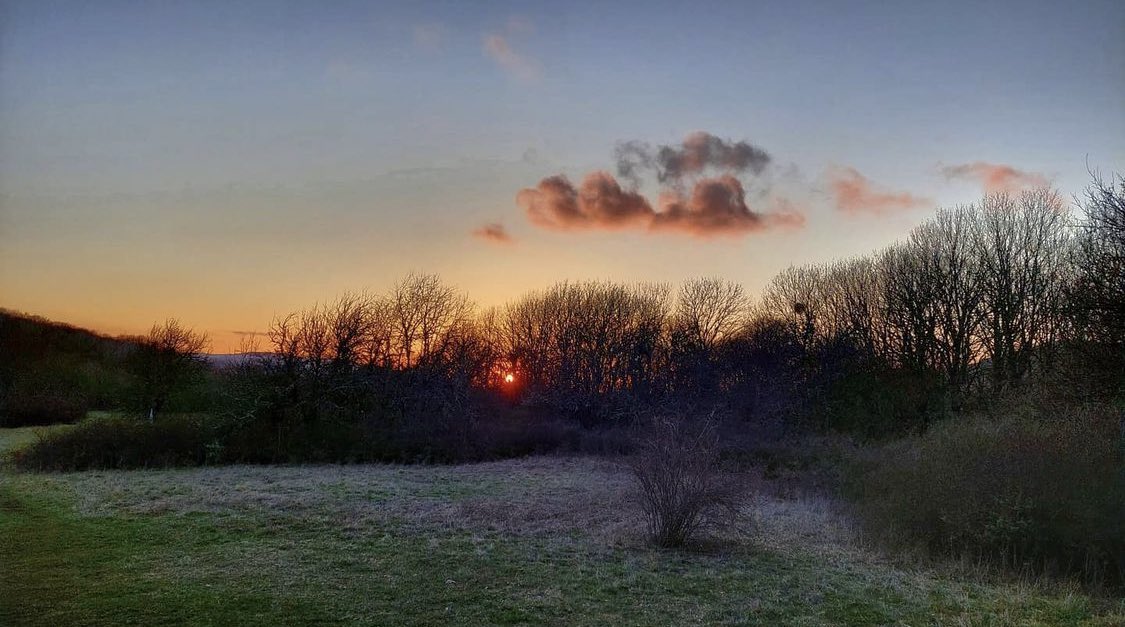 alexxf3's tweet image. 