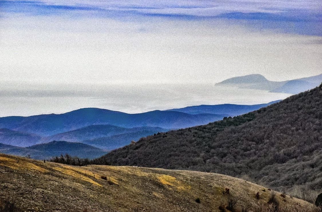 alexxf3's tweet image. 