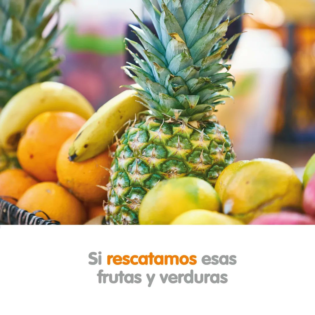 Abacocol's tweet photo. En la cadena productiva muchos alimentos terminan en la basura. Con el programa de Recuperación de Excedentes Agrícolas #Reagro buscamos rescatarlos. 🍊🍌🍆🥕
Súmate creando una campaña para esta causa. #YoHagoMiparte #BancosDeAlimentos 💚 🧡 https://t.co/ZGyIGTTaRf https://t.co/NqCIRkecce
