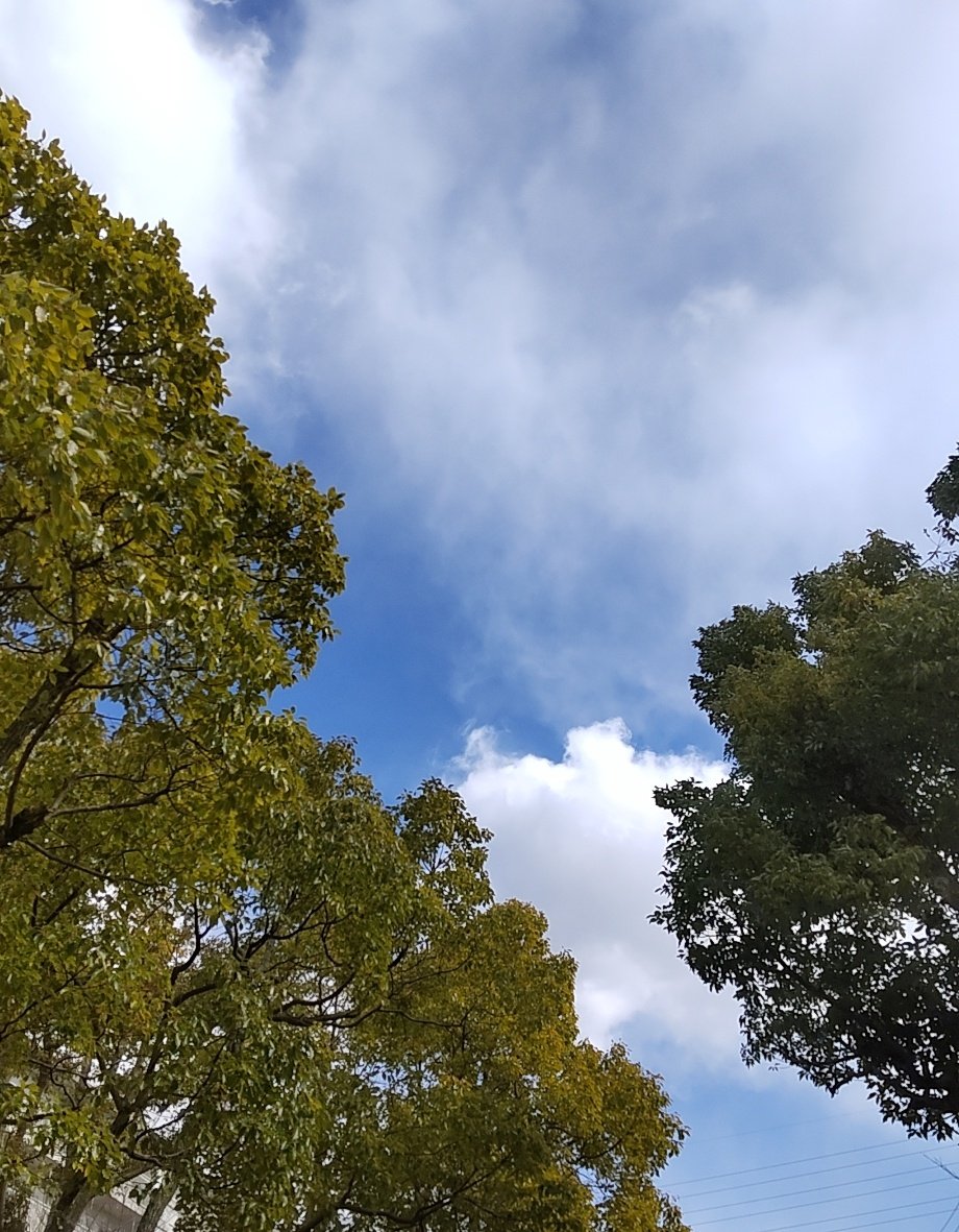 jinchan09620746's tweet photo. お疲れ様✨小さな幸せ見つけた？
実家で買い出しや家事雑用したり、母の週1回、新聞に載る3Dアートの何年もかけて貯めた切り抜きコレクション見ながらお喋りしたり。
SHINeeDCM1周年やFIVEも同じ2月22日発売、幸せでした❤️
#SHINee　FIVEから
#GetTheTreasure
https://t.co/gqVAgpE8im
おやすみ🌙 https://t.co/4AzhBpSihs