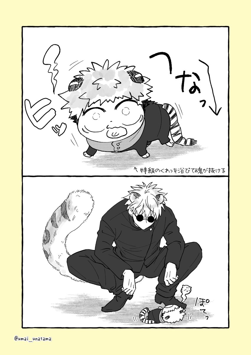 五悠呪専パロ漫画 ふんわり読んでください😅 猫の日のつもりで描いてたけど途中でただのケモだと気が付いた… 