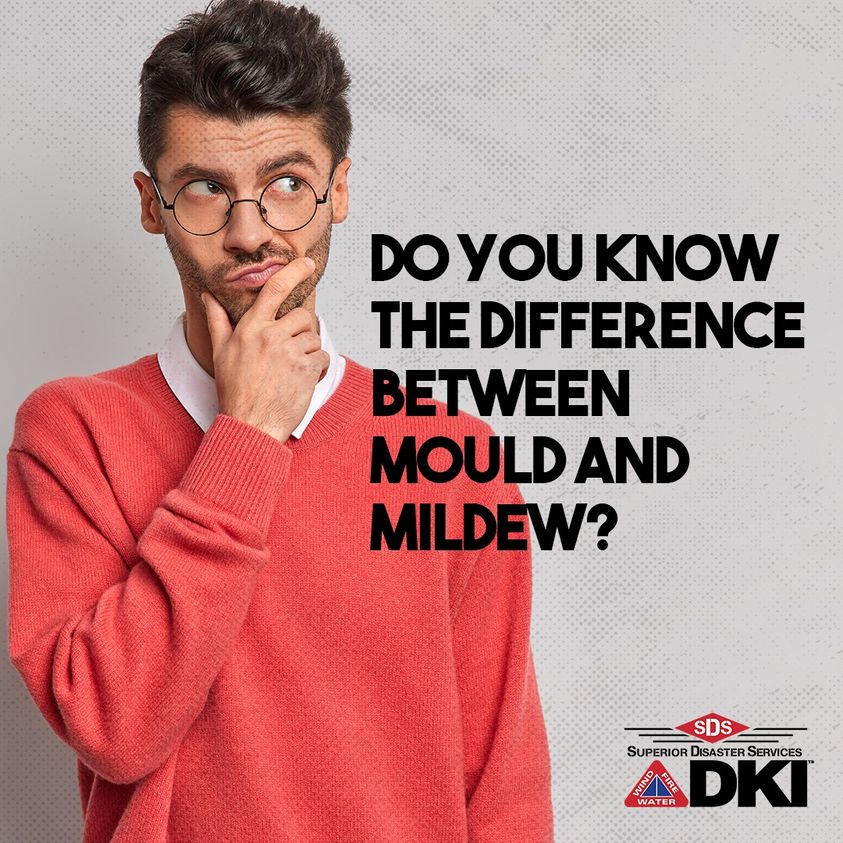 What’s the difference between mould and mildew? Mildew is a surface fungus that is removed using regular cleaning products. Mould however, is a microscopic fungus that roots in below the surface, which requires professional assistance. 
To learn more visit bit.ly/3oMdWju