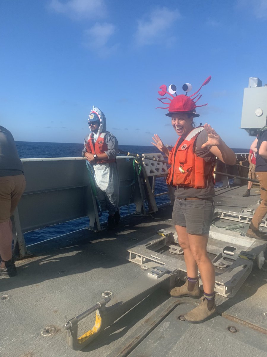 4CASTGofar tweet media