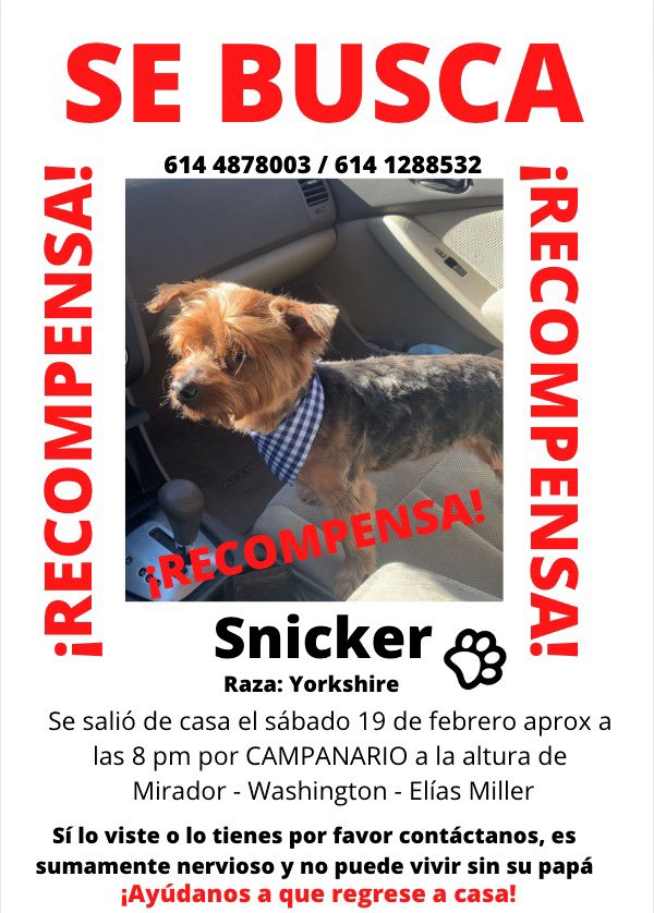 Maripily_Vl's tweet photo. Denle Rt porfaaa!!!🙏🏼🙏🏼🙏🏼 regresen a mi nicker lo extrañamos muchoooo😭😭😭 https://t.co/VXnIt1M7zr