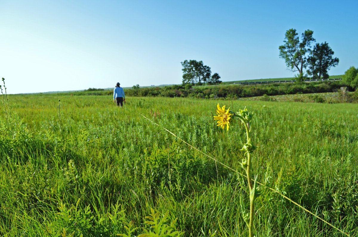 Kansas Bio Survey & Center for Ecological Research tweet media