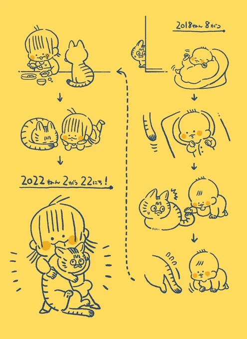 キミとの距離
#猫の日 