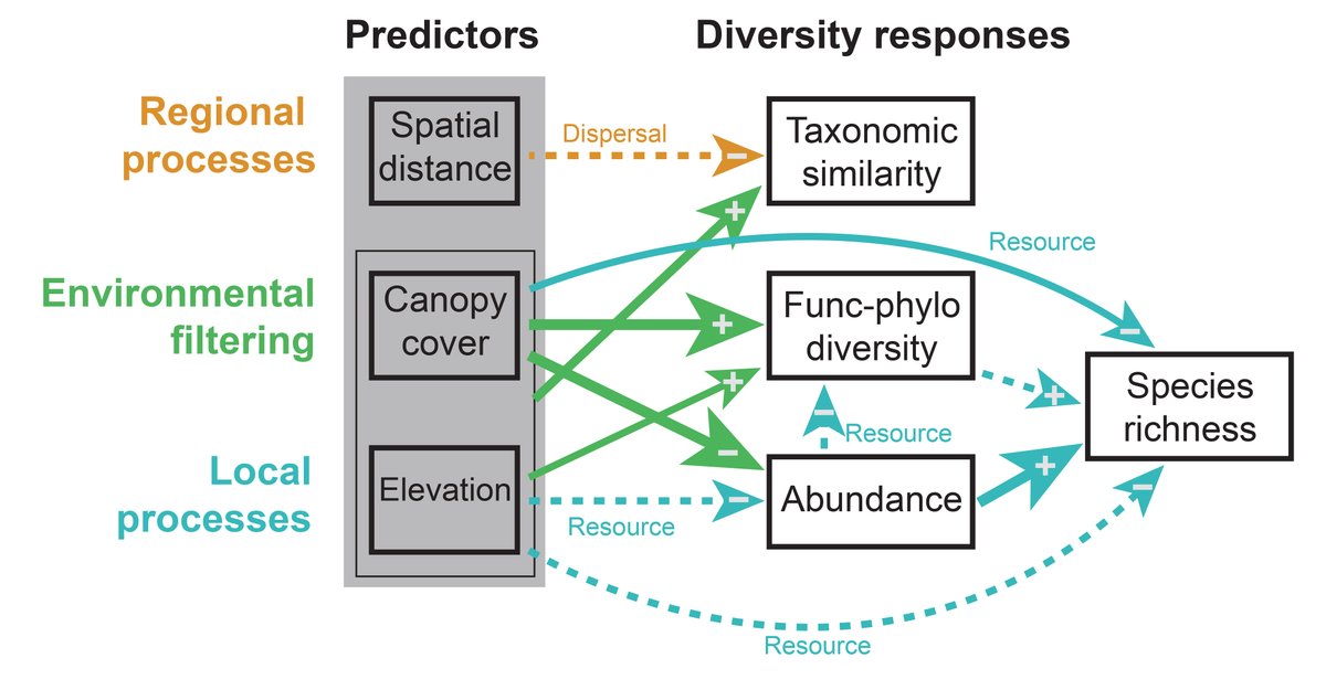 ESAMonographs's tweet photo. New & #OpenAccess in @ESAMonographs:
A replicated study on the response of spider assemblages to regional and local processes
https://t.co/c9NJyw95zZ
With #OpenData in @datadryad & @ZENODO_ORG
#CommunityAssembly #SpeciesCoexistence #EnvironmentalFiltering #Spiders https://t.co/1IPuFmuE7x