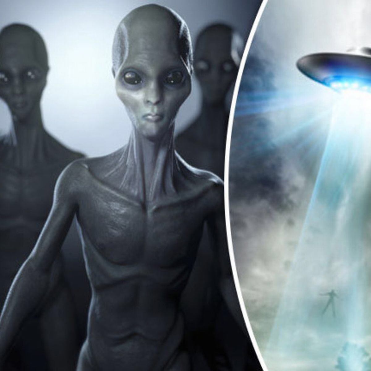 планета инопланетян. контакт с внеземной цивилизацией. нло общение. переговоры с инопланетянами. альфа центавра инопланетяне гостья.