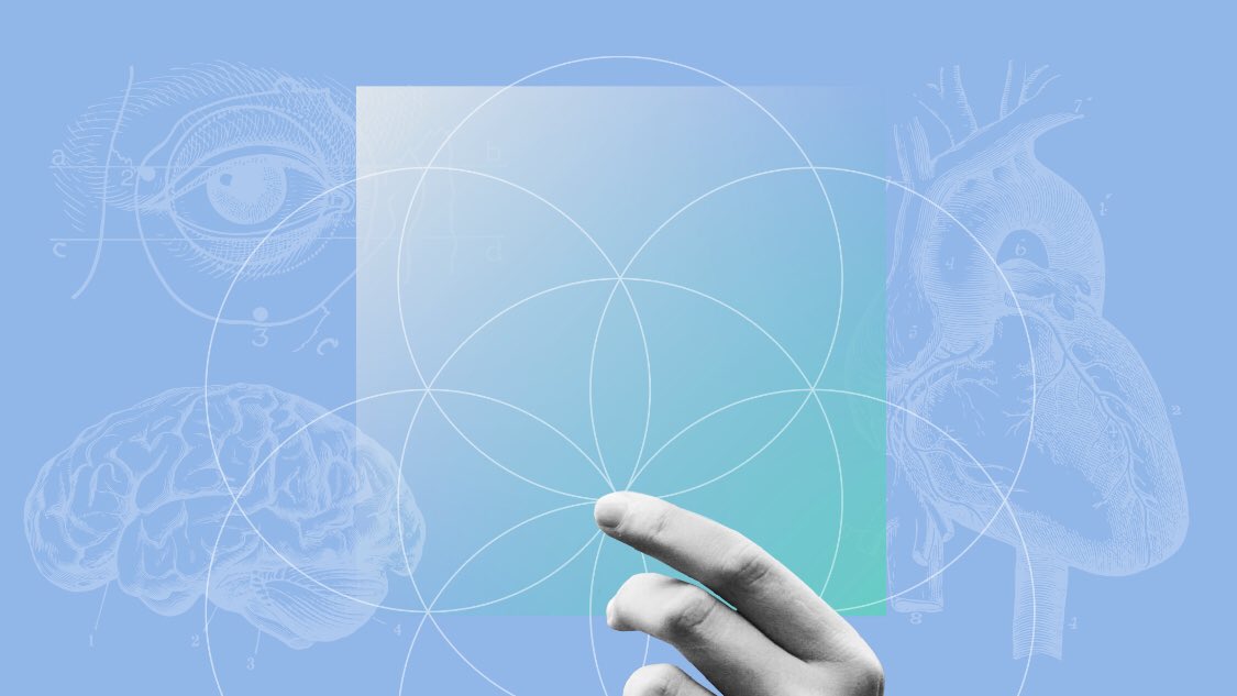 M a n u è l tweet media