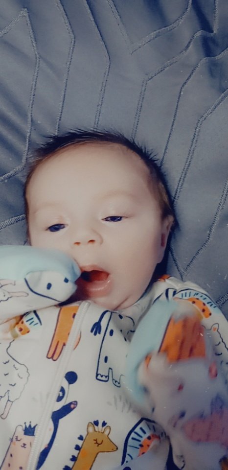 RazKitty22's tweet photo. For those who didn't know, this little nugget came almost 4 weeks ago.
Also for those who didn't know, she is the reason I started doing what I do with my site. The extra $ is not NEEDED but I am striving to be able to give her everything she needs and wants https://t.co/woPiK2Q6G4