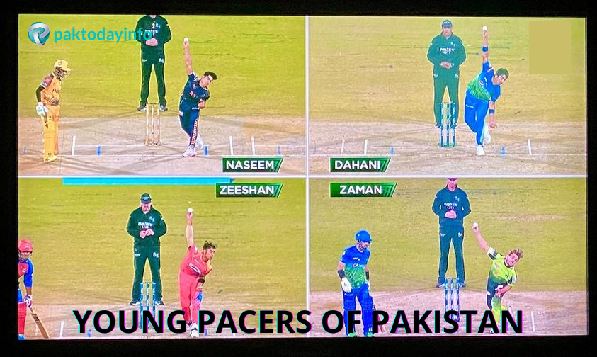 PakTodayInfo1's tweet photo. FOUR YOUNG PACERS OF PAKISTAN
1. Shahnawaz Dahani from Larkana, Sindh
2. Naseem Shah from Lower Dir, KPK
3. Zeeshan Zameer form Karachi, Sindh
4. Zaman Khan from Mirpur City, Kashmir
#Shahnawazdahani #NaseemShah #zeeshanzameer #Zaman_Khan #PSL2022 #HBLPSL7 #PSLNews #paktodayinfo https://t.co/dGXiHvMBqf