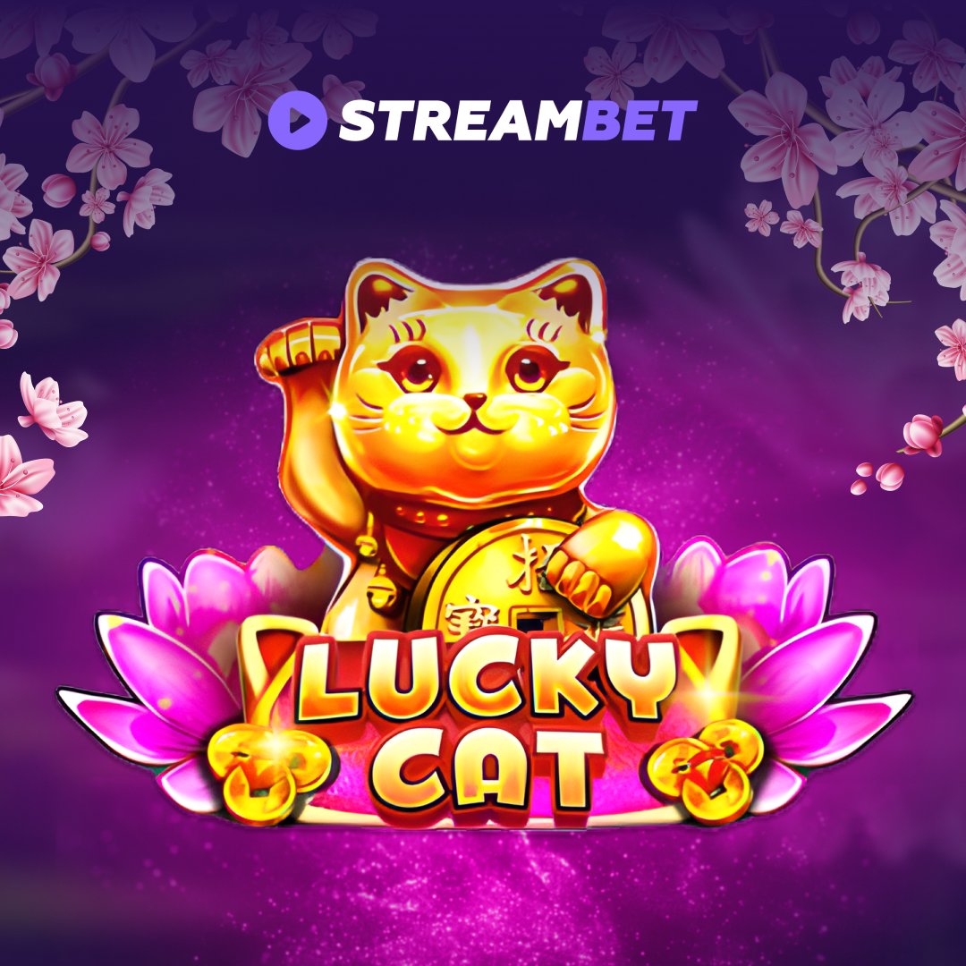 Streambet_Br's tweet photo. 🐾 Um jogo interessante com um bom retorno. Jogue conosco e cuidaremos de seus ganhos😎 Seja sempre um vencedor!🥇
#casino #Slots #bigwin https://t.co/3PBgwqsNzE