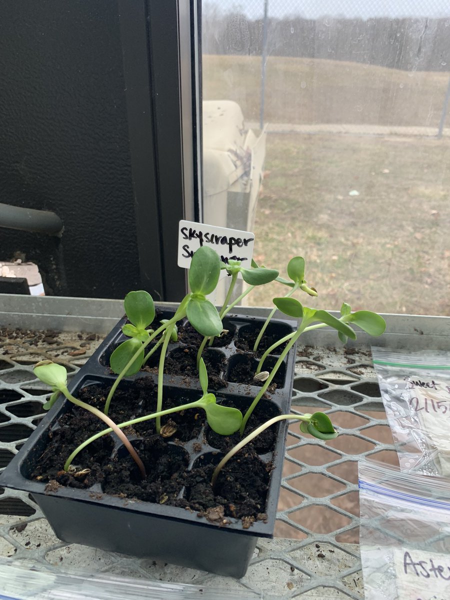 Courtney Rohde tweet media