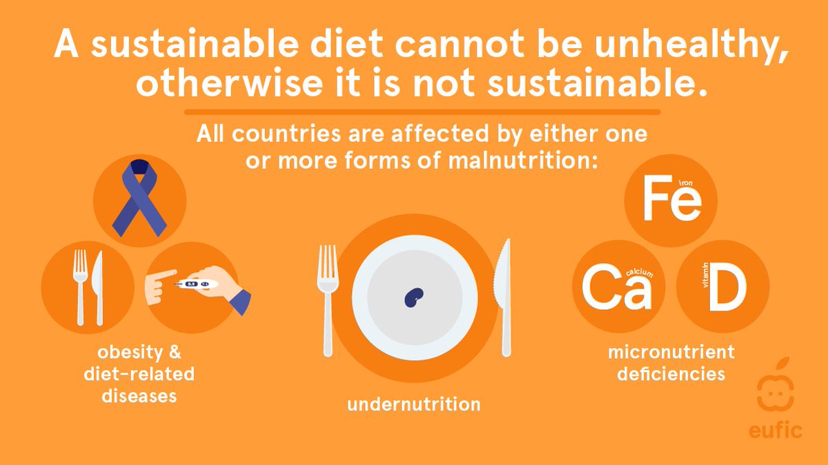 It's great that we continue to grow awareness of how food production and our diets affect climate and nature. 🌎 

However, it is important that we don't overlook other important factors of #sustainablediets such as nutrition, which is crucial for our health and well-being!