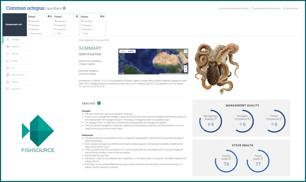 Last month we updated our profile for Common Octopus - Cape Blanc stock fished out of Mauritania fishsource.org/stock_page/2236