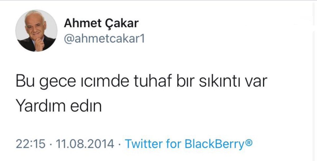 amellywoods (@mehmet_ackbas) on Twitter photo 