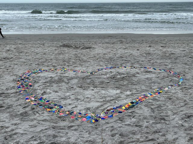 brigschools's tweet photo. Our #BrigStrong Kindness Shells are located between Hamilton Place and 4th Street North. ♥️ https://t.co/dsmu7orzUs