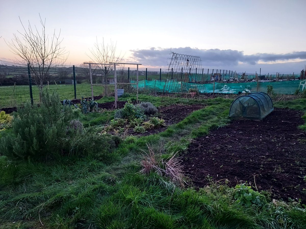 GroPinfo's tweet image. Got back to our plot for the first time since Halloween today. It did me good even if my plot is not insta-ready!! Cannot wait to get back once the rain stops!! Now to plan it all out! #allotment #gyo #organic #nodig