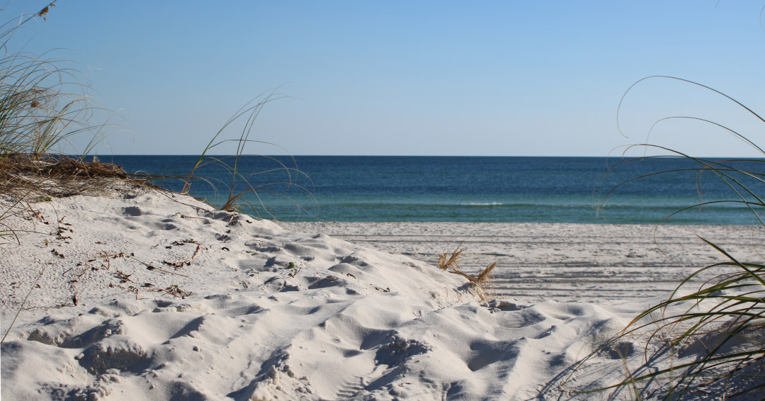 There are 7 Leave No Trace principles to help protect nature. 

#leaveonlyfootprints #cleanisland #loflifestyle #gulfcoast #gulf #coast #gulfshores #orangebeach #beach #alabamabeaches #alabamacoast #cleancoast #ecofriendly #cleanbeach bit.ly/33jbqto