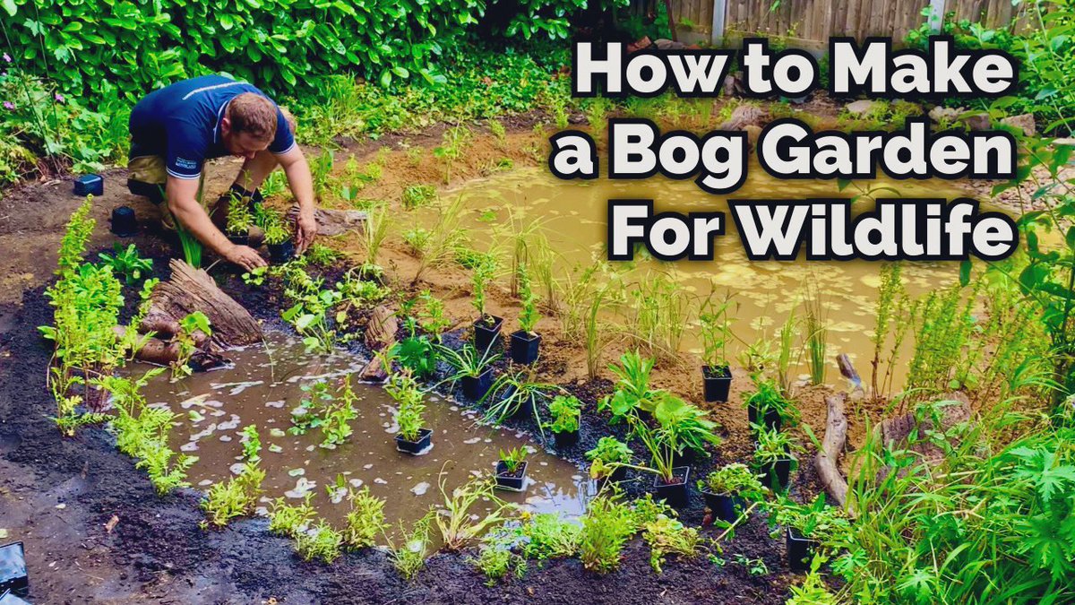 _JoelAshton's tweet photo. Want to know a great and cost effective way to help #wildlife in your #garden? Put in a #boggarden and provide a habitat for #frogs #newts #bats #butterflies #moths #grasssnakes #toads and much more. Check out the video below to see how…
https://t.co/q6Ca2HIvp5
🐸🐝🦇🦊🦋🪲 https://t.co/5M1ezEqGSS