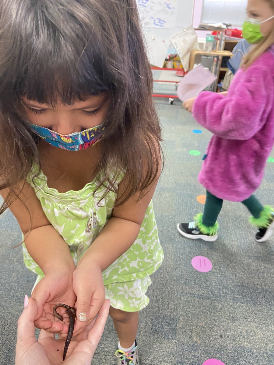 Ms.Ward’s Class tweet media