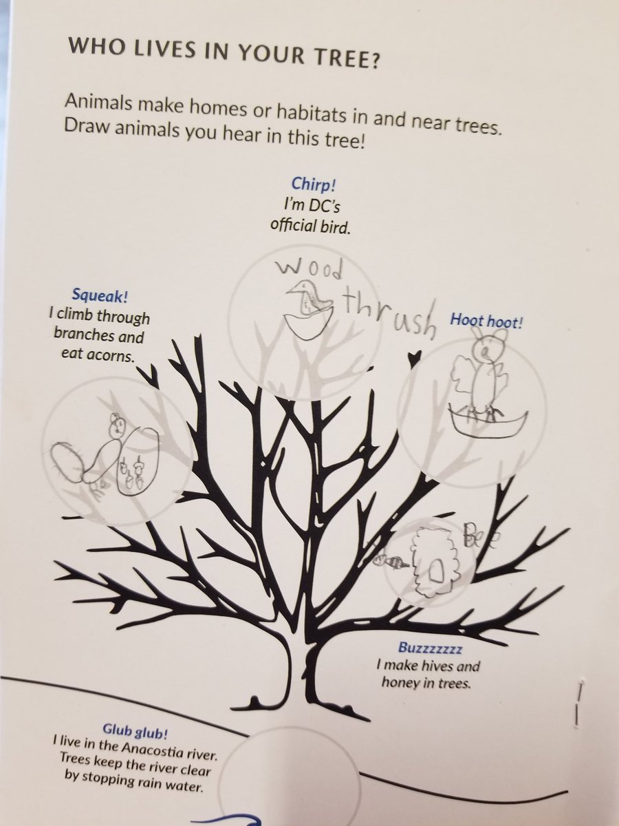 UrbanAdvSquad's tweet photo. We also learned about pollinators and carbon storage today with the @CaseyTrees #TreeWise #JuniorUrbanForesters books. π²π³πΏπ¦π¦
#ThisIsOutdoorLearning
#OutdoorLearningFun
#OutdoorClassroom
#OutdoorLearning https://t.co/REwZOZgxjk