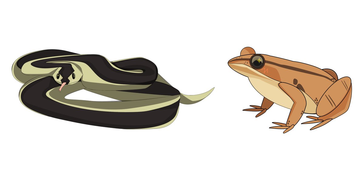 Valerie Miller, PhD🌱 tweet media