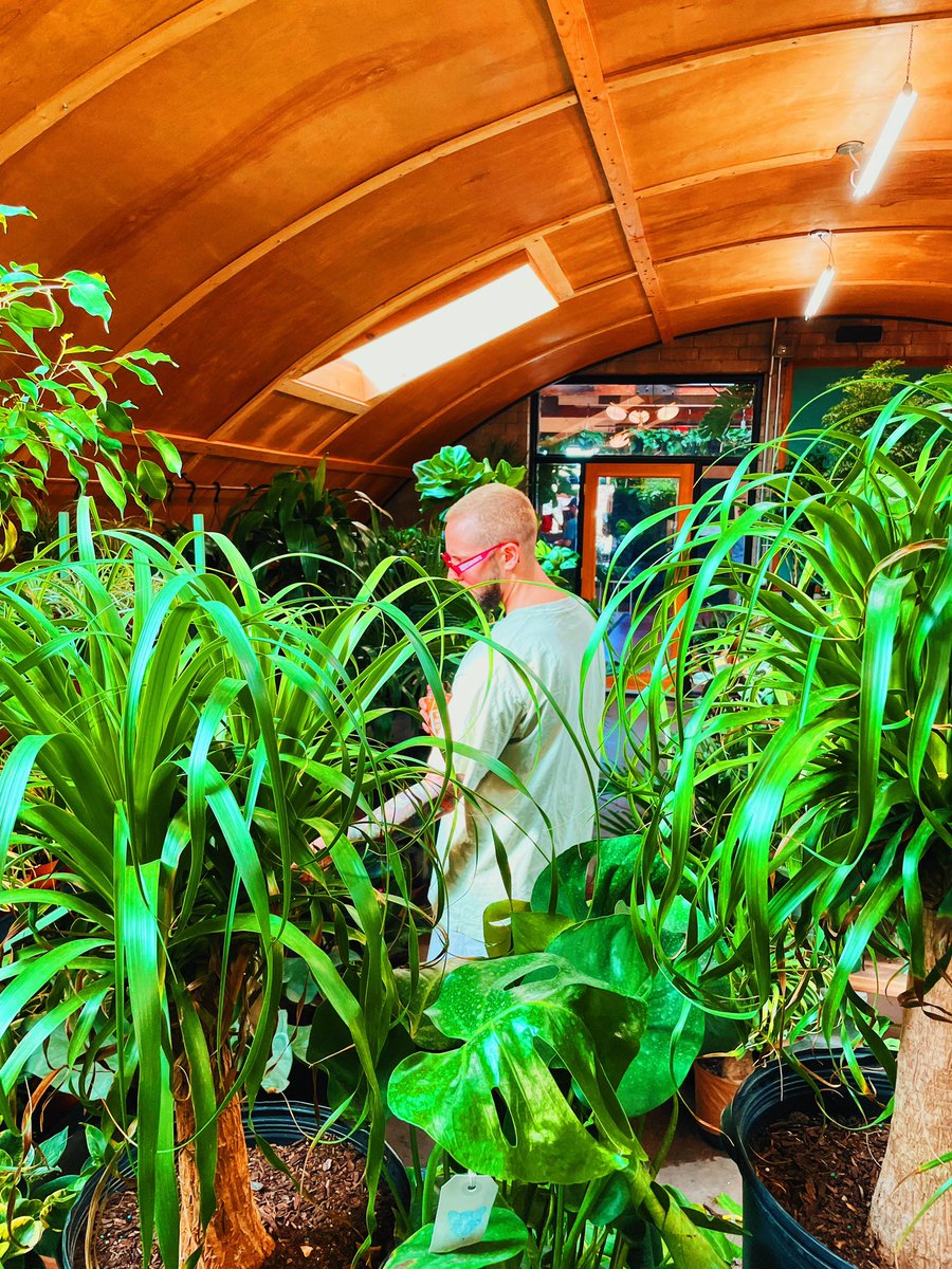 HER FAVORITE tweet media