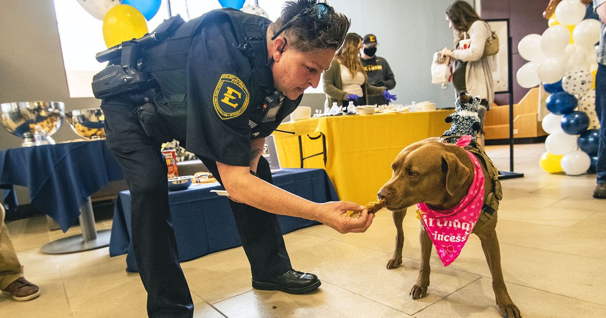 Look who’s turning 4 years old today. <a href="/Pepper_ETSU/">Pepper</a> is part of our Public Safety’s Community Canine program &amp; our students adore her.  I often see her riding in Sgt. Pullon’s car with the windows rolled down greeting our students. Happy Birthday Pepper! <a href="/etsu/">ETSU</a> loves you.