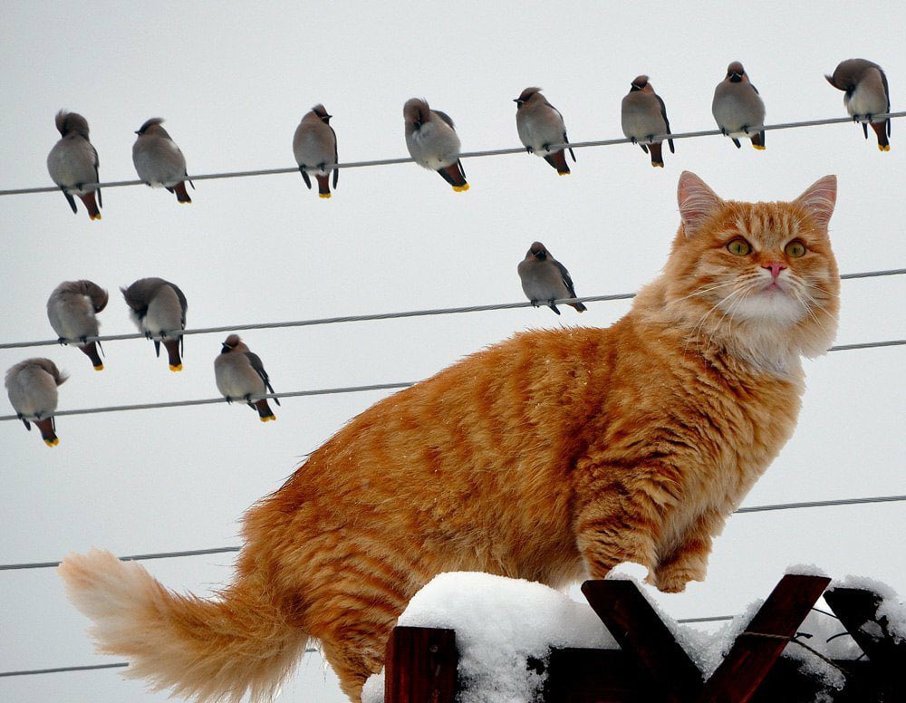 Алина Г. (@veskii4571) on Twitter photo <a href="/iv_boks/">Игорь-сан 🙋♂️</a> Игорь, добрый вечер! Да, вот такая бывает любовь! Нечаянная, разная, внезапная, неожиданная!.. 😂 <a href="/iv_boks/">Игорь-сан 🙋♂️</a> Игорь, добрый вечер! Да, вот такая бывает любовь! Нечаянная, разная, внезапная, неожиданная!.. 😂