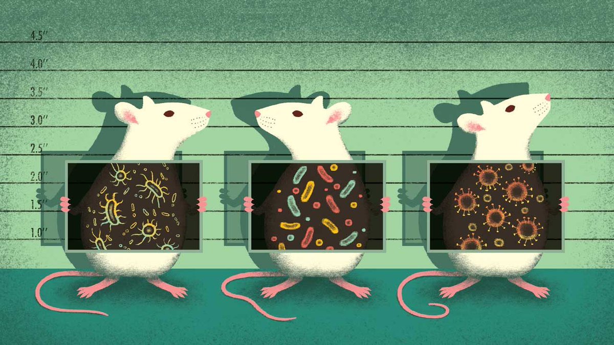 SEMiPYP's tweet photo. A gut-derived metabolite alters brain activity and anxiety behaviour in mice by Brittany D. Needham et al. https://t.co/oL3i8jwEfv Via @Nature #Gut #microbiota #4EPS #behaviour #neurotransmitter https://t.co/SUKtsJqIFw