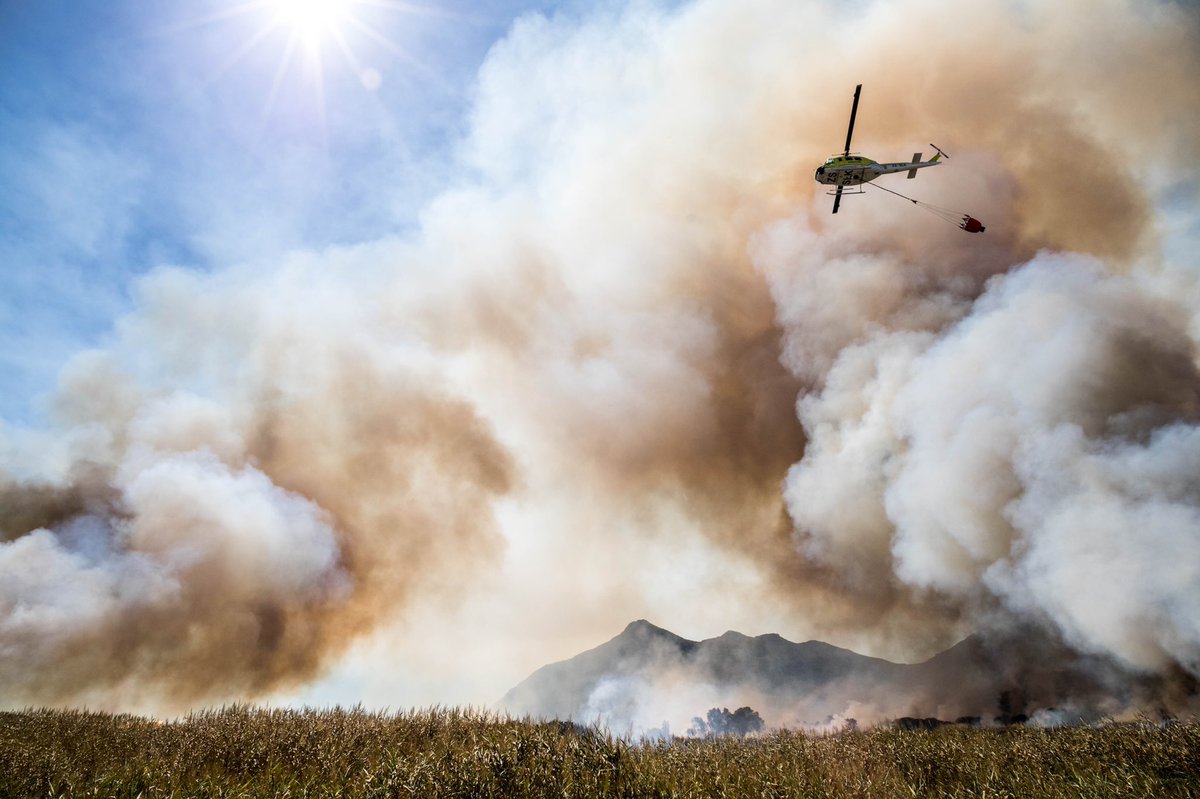 Eric Tollner | Red Earth tweet media