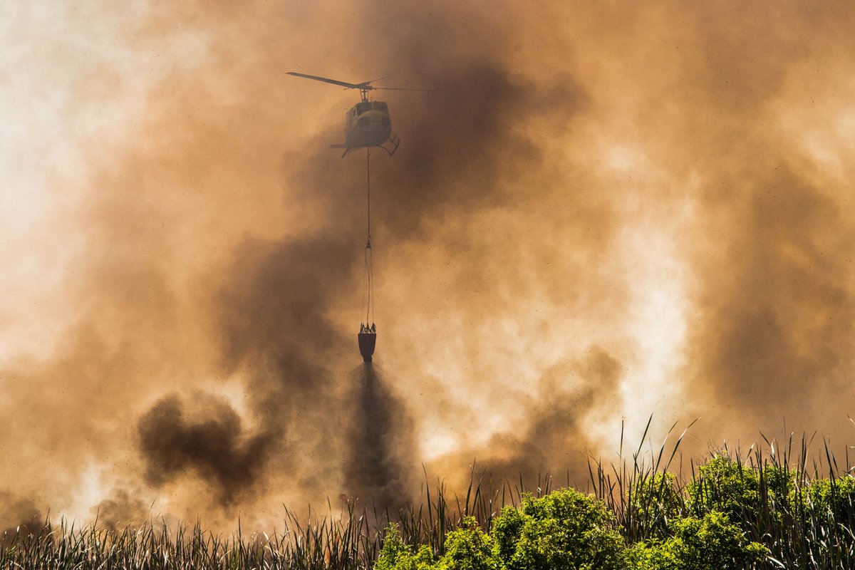 Eric Tollner | Red Earth tweet media
