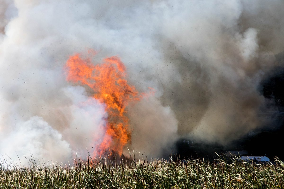 Eric Tollner | Red Earth tweet media