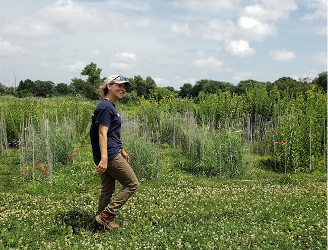 FFARFellows's tweet photo. Just like us, #perennial plants have their own barriers for self-defense, writes #FFARfellow @pete_peterson4 on @FoundationFAR's blog. https://t.co/NxXQerFwZi Uni: @umncbs | Sponsor: @NatureAsMeasure #plantscience https://t.co/qlhQMH3qWE