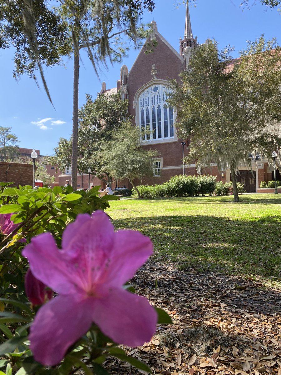 Call it fake spring if you want, but spring sure feels real today here ⁦<a href="/UF/">FLORIDA</a>⁩