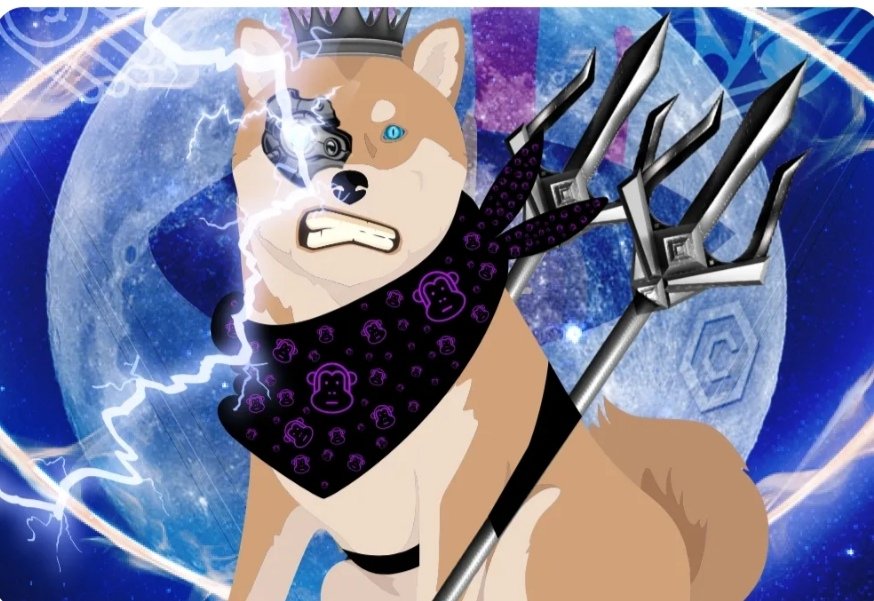 Pazzer3's tweet image. Latest project I've invested in is Crodog here is my founder NFT #crofam #bacc #cronos #nft