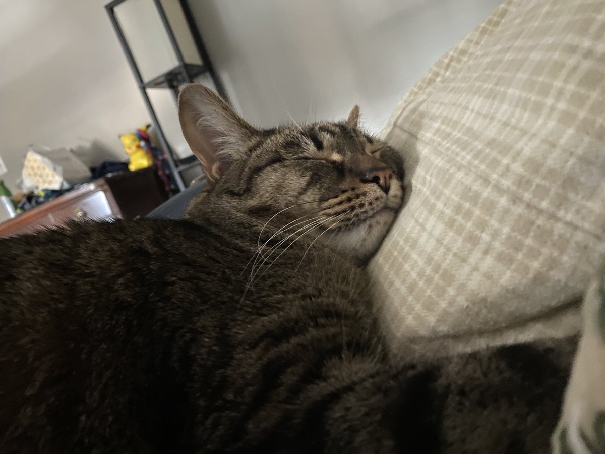 smoozimg
